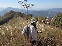 경기도 포천 명성산 억새 & 강원도 철..