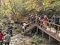 정선 항골계곡 숨바우길1