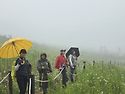 청옥산 우중산행