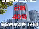 올림픽파크포레온 134㎡(50평) 급매 / 40억 / 남향 / 굿뷰 / 올수리집