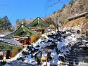 250211 평창.홍천 오대산 비로봉,상왕봉