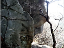 서산 가야산