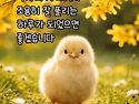 친구의 화려한 봄