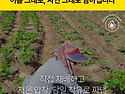 찐 국산 참기름, 들기름 ..