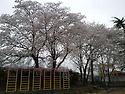용덕초등학교 옛 건물사진