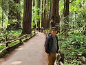 Muir Wood National Park