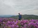 보성일림산&철쭉산행(2)