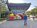 불갑사&꽃무릇벙개산행(1)