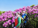 화순안양산&백마능선(1)