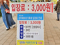 함안&강주해바라기축제(2)