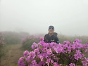 보성일림산&철쭉산행(1)
