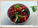 밭을 갈다.