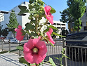 제729회 도봉산