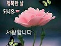 조금씩 조금씩 꾸준히