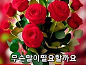 딸기 드셈