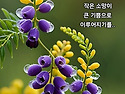 Good happy nice a beautiful..