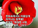 좋은날 신나는 기쁜 날 아름답게 보내시..