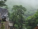 테마산행
