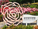 &#10084;광진 장미 정원