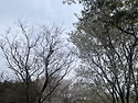 여수 영취산