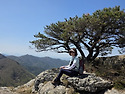 비슬산1