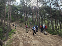 거창 보해산.금귀봉(20260614)