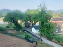 별장텃밭