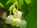 서서울호수공원
