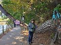 포천 산정호수 20261009