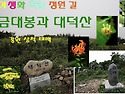 25년 7월17일 제25차 태백 "금대봉&대덕산"