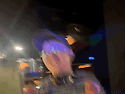 8월8일 88했던 정모 후기..