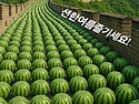 수박