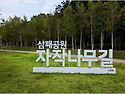 남양주 삼패한강공원 초가을 풍경