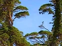 걸작