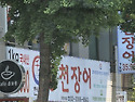 Wife와 며느리와함께