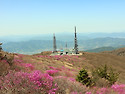 지리산 노고단