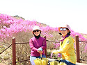 지리산 노고단