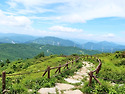 함백산