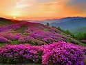 2026년 06월 07일 정기산행 –지리산 (1,915 m )