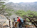 비슬산 3