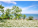 변산마실길(자몽 작,5/30)