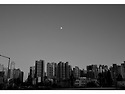 문 라이즈
