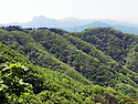 1328차 앵무봉-형제봉