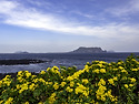일출봉