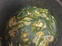 비단조개