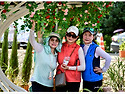26.6.28. 계족산 산행 & 유구수국