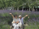 라베더2