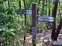 소사벌 산악회 제261회차 산행산청 양평 소리산