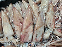 [판매종료] 오늘 발송!!..