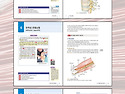 신간 : 근골격계 질환의 통증해부학(해..